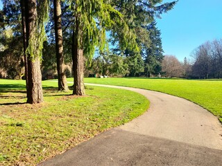 path in the park
