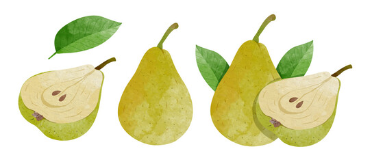 Set of Pear fruit with leaves Design elements. watercolour style vector illustration.