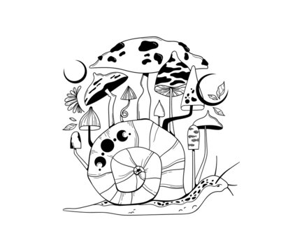 Mystical Snail And Magic Mushrooms Isolated Clip Art, Hand Drawn Mysterious Trippy Composition With Celestial Animal, Moon And Poisonous Fungi On White Background, Vector