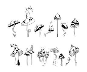 Obraz premium Mystical mushroom isolated clip art bundle, hand drawn poisonous amanita mushrooms or fly agaric fungus in black and white line, vector illustration set