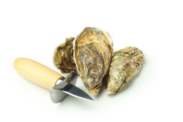 Concept of delicious seafood, oysters isolated on white background