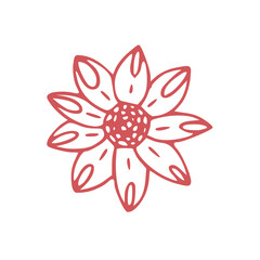 flower illustration isolated on white background