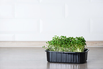 Micro greens in a plastic container in the kitchen. Horizontal orientation, copy space.