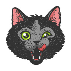 Cat head face color green eyes sketch engraving vector illustration. T-shirt apparel print design. Scratch board imitation. Black and white hand drawn image.