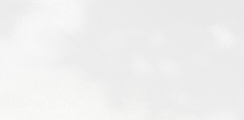 Abstract blurred background. The shadow reflection of leaves and gray light lines. on the white surface concrete wall. for wallpaper, backdrop and design.