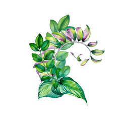 Bent branch with green, pink leaves watercolor illustration