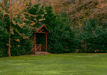 Tiny house in the woods