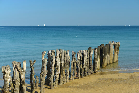 brises-lames - pieux en bois sur la plage du Sillon &agrave; Saint-Malo