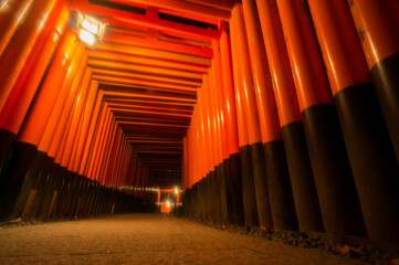 Fototapeta premium 京都 夜の伏見稲荷大社を彩る幻想的な千本鳥居