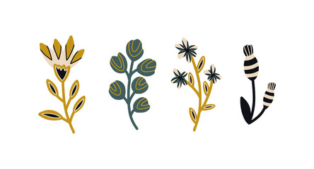Collection of hand drawn natural elements of flowers and plants