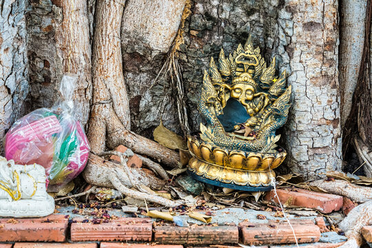 old clay broken statue of the hindu god are laid under a tree in a Thai temple.