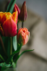 Naklejka premium Bouquet of beautiful different varieties of tulips. Beautiful flowers in a vase. Spring bouquet. Bouquet for birthday, Mother's Day, International Women's Day, Valentine's Day. Vertical photo.