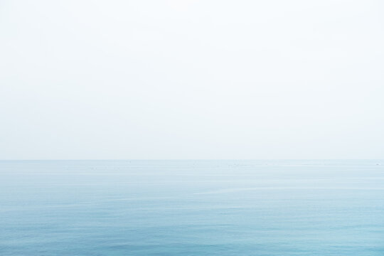 海