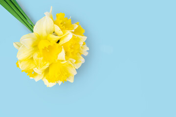 Fototapeta na wymiar Bouquet of yellow daffodils, narcissus on blue background with copy space. Mockup, template for holiday, birthday, mother's day on yellow background with copy space for text. Top view, flat lay.