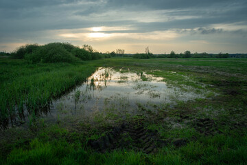 Rainwater in the field and evening clouds in the sky, Nowiny, Poland.