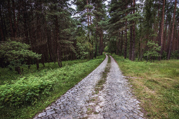 Fototapeta na wymiar Paved road in Cedynia Landscape Park in West Pomerania region, Poland
