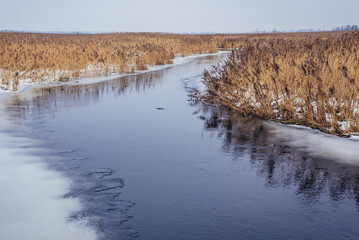 Winter view of River Narew seen from a bank in Waniewo village, Podlasie region of Poland