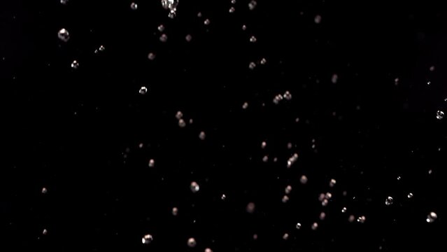 Flying of Pomegranate in Black Background in Slow Motion