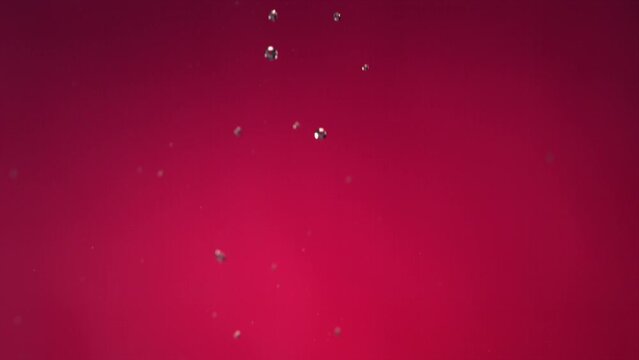Flying of Pomegranate in Fuchsia Background in Slow Motion