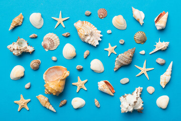 Summer time concept Flat lay composition with beautiful starfish and sea shells on colored table, top view