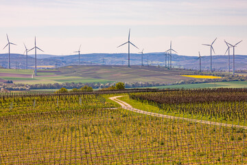 Many windmills of the wind farm with many wind turbines behind rural vineyards