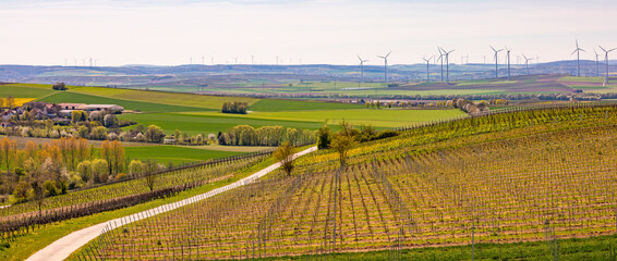Panorama Landschaft einer ländlichen Region mit Weinbergen vor einer großen Anzahl von...