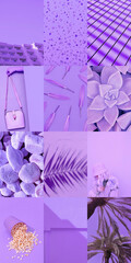 Set of trendy aesthetic photo collages. Minimalistic images of one top color. Purple moodboard