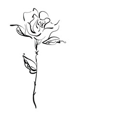 art sketched roses vector background with space for text, for card