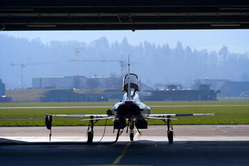 Fighter plane Tiger at Swiss Air Force Airbase on a sunny spring noon. Photo taken March 23rd, 2022, Emmen, Switzerland.