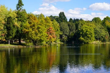 Fototapeta na wymiar Start of autumn at park by lake