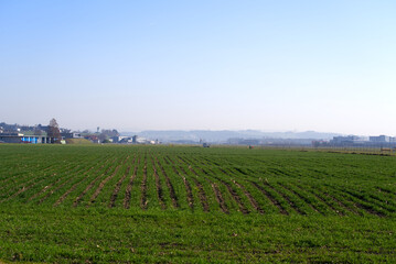Agricultural field at City of Emmen on a sunny spring day with Air Base of Swiss Air Force in the background. Photo taken March 23rd, 2022, Emmen, Switzerland.
