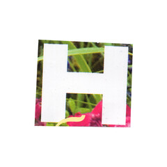 letter h magazine cut out font, ransom letter, isolated collage elements for text alphabet. hand...