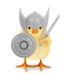 Cute cool chick superhero Viking medieval warrior with shield and sword funny conceptual image....