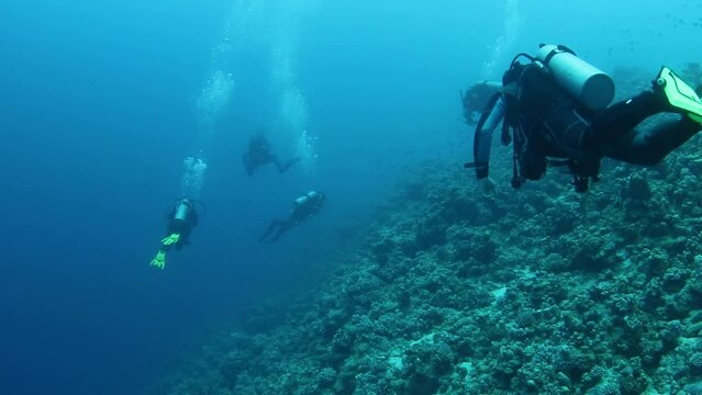 Group of scuba divers swimming between corals at coral reef. Diving instructor and group students in underwater exercise. Instructor teaches students. Underwater scuba diving education and training.