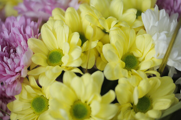 Flower composition. mixed flower bouquet