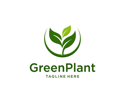 Green Leaf Logo design Vector. green plant logo, green leaf seedling, growing plant