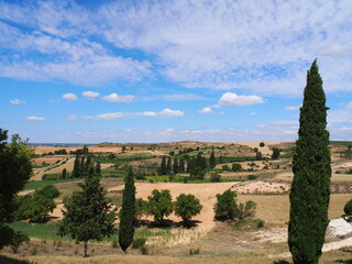 Fototapeta na wymiar Peñaranda de Duero, municipio con su propio castillo en la provincia de Burgos. España.