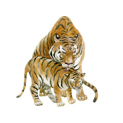 Tiger Mother with her baby on white background. Wild animal.