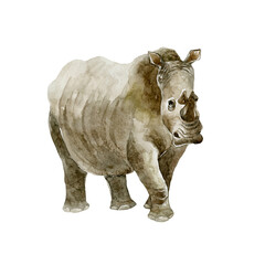 Fototapeta na wymiar Rhinoceros on white background. Wild animal.