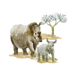 Fototapeta na wymiar Rhinoceros with her baby on white background. Wild animal.