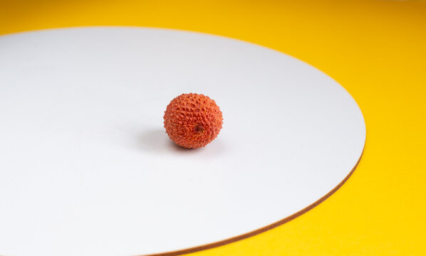 Ripe lychee bear fruits on white desk and yellow  background. Pink-red, roughly textured berries with copy space. Sweet pink litchi berry fruits. 