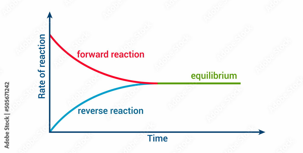 Canvas Prints chemical equilibrium graph diagram vector illustration isolated on white background