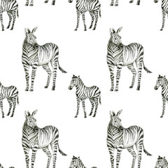 Fototapeta na wymiar Tropical seamless Pattern with Zebra.