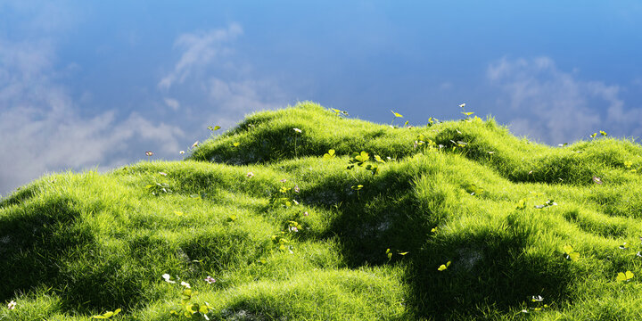 Pink wildflowers and lush grassy meadow with blue sky and warm sunlighht. 3d rendering.
