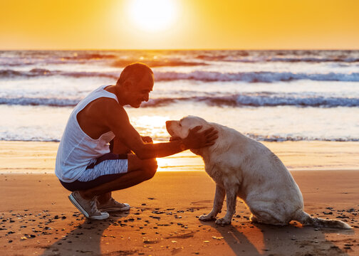 Silhouette of 60-years old person communicating with homeless dog on seashore. Man stroking a dog. Friendship between dog and man