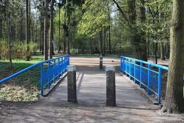 a bridge in the park, boards, metal, blue railings, a tree at the back