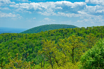 Fototapeta na wymiar Landscape at a US National Park in Virginia USA