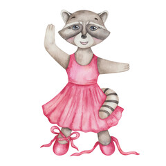 Watercolor illustration of hand painted grey raccoon girl in dance studio in pink dress and ballet shoes with laces. Cartoon animal character. Isolated clip art for children fabric textile print, post © Olga Sidelnikova