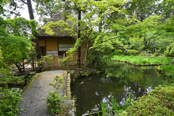 Obraz premium 新緑の京都市梅宮大社の美しい神苑02