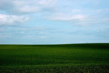 green field and sky